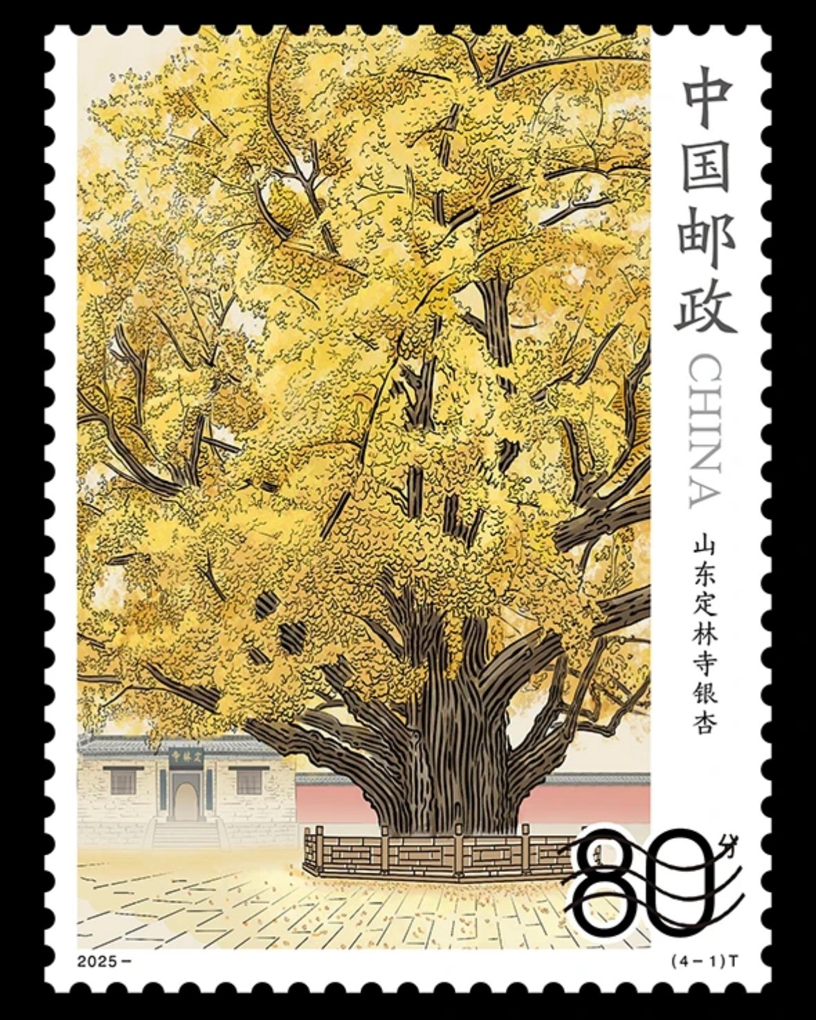 微信圖片_20250728142234.jpg