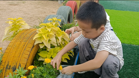 1757292639687035393.png image.png