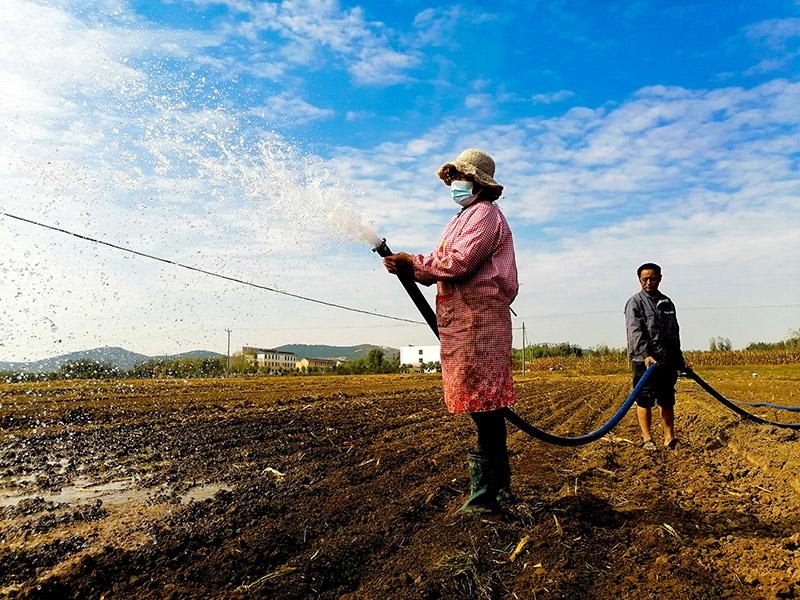 莒縣浮來山街道：節水灌溉助力現代農業