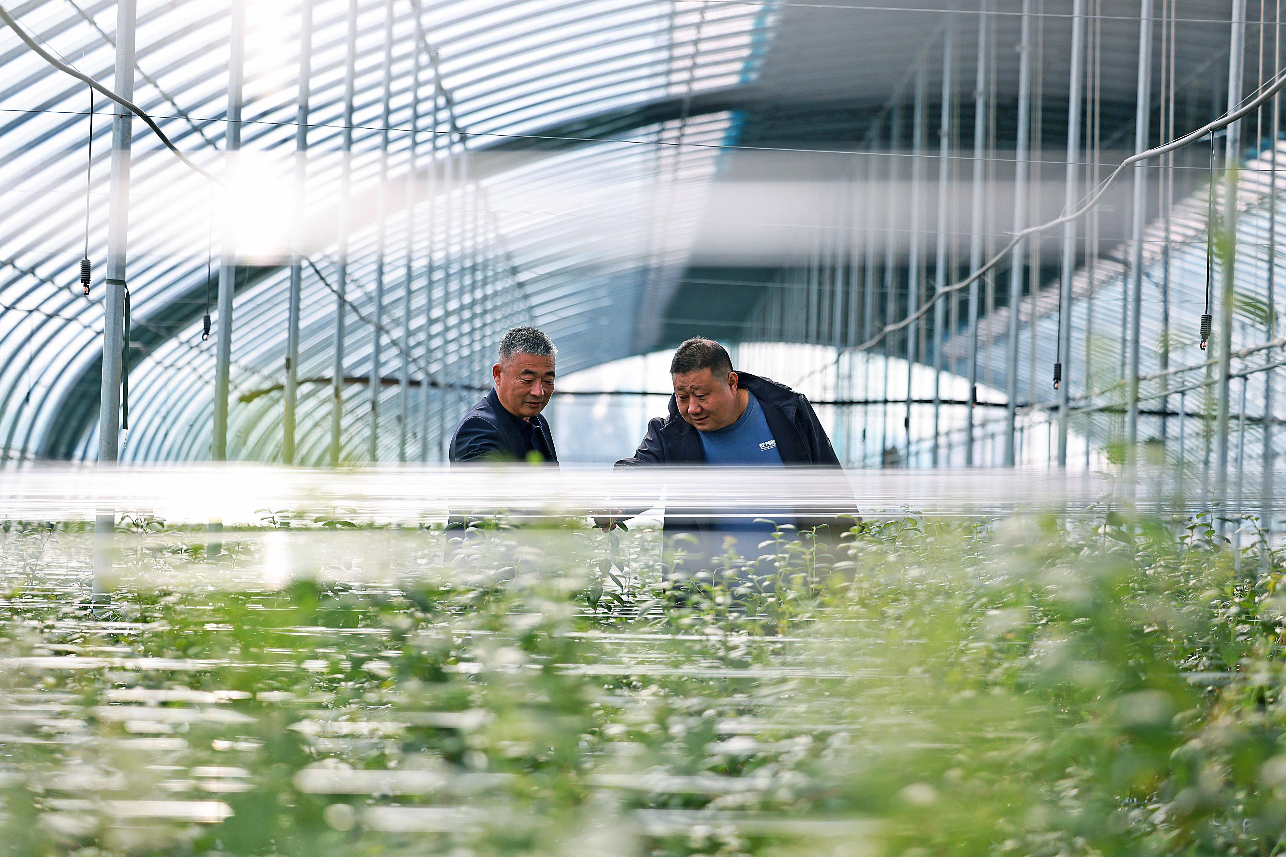 智慧賦能農(nóng)業(yè)